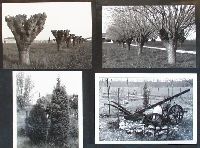 Af06p007.JPG
