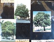 Af08p004.JPG