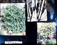Af08p005.JPG