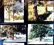 Af08p006.JPG