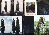Af08p009.JPG