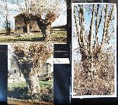 Af08p010.JPG