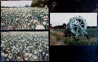 Af08p029.JPG