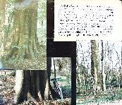 Af08p034.JPG