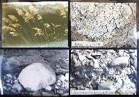 Af09p047.JPG