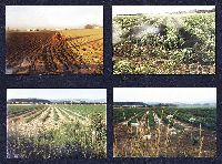 Af10p015.JPG