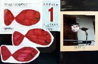 Af13p043.JPG