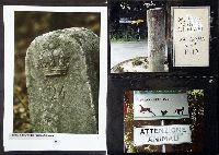 Ac10p009.JPG