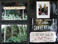 Ac10p011.JPG