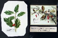 Ac10p031.JPG