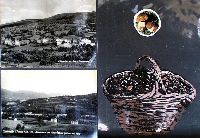Pr03p009.JPG