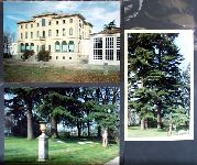 Pr03p049.JPG
