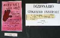 Pr05p016.JPG