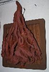 046 - Cantina7 - congelatore 15.JPG