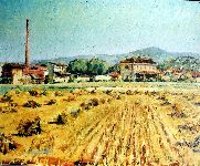 1960 - 40x50 - olio su compensato - campo di grano.JPG
