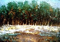 1976 - 30x40 - olio su faesite - pioppi sul Taro.JPG