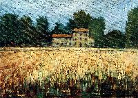 1976 - 35x50 - olio su tela - campo di grano a case Marconi.JPG
