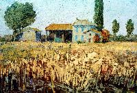 1976 - 36x51 - olio su compensato - frumento a Casanuova.JPG