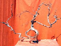 Opere varie 003.JPG
