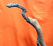 Opere varie 026.JPG