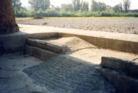 Tduran01