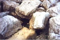 foto-m