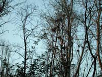 Dscn0136