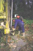 F2.b-3946