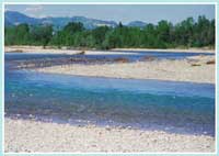 Fiume Taro - Durante i periodi estivi parecchi rami del fiume sono completamente asciutti
