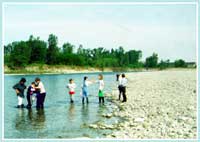 Attività didattica nel Parco del Taro - Fra le molte proposte didattiche del Parco quella inerente la qualità biologica dell'acqua appassiona i ragazzi delle scuole dell'obbligo