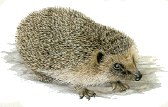 Parchi In Rete - Regione Emilia-Romagna