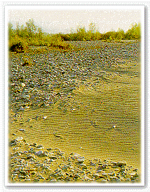 Parchi In Rete - Regione Emilia-Romagna